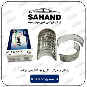 یاتاقان متحرک 30 پژو 405 شاهین ترکیه